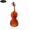 dan-violin-scott-guan-601-1-4-1-2-3-4-4-4 (4)