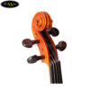 dan-violin-scott-guan-601-1-4-1-2-3-4-4-4 (5)