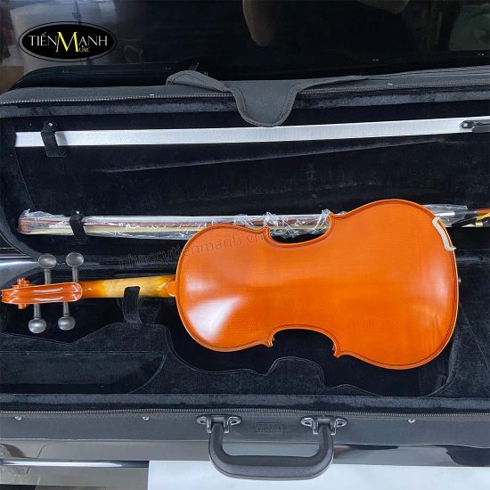 Đàn Violin Scott & Guan 601 (1/4 1/2 3/4 4/4)