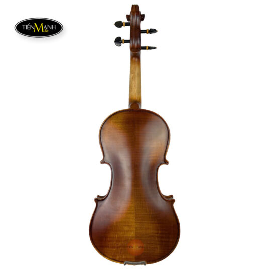 dan-violin-van-ve-amati-vm118