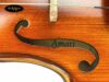 dan-violin-van-ve-amati-vm118