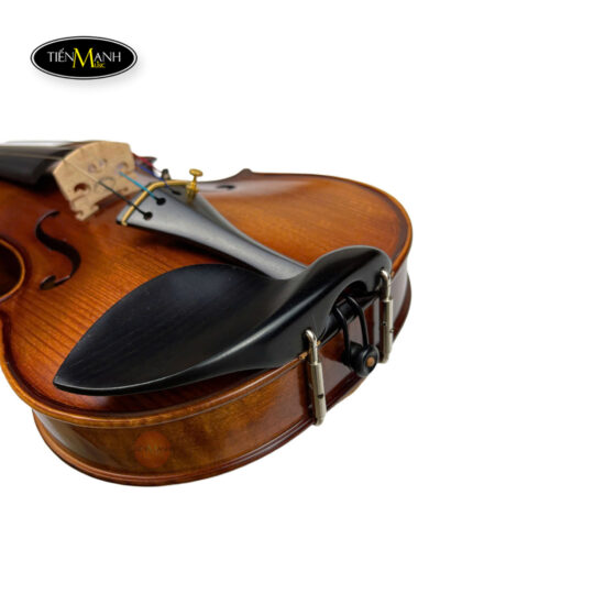 dan-violin-van-ve-amati-vm118