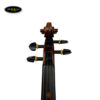 dan-violin-van-ve-amati-vm118