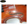 dan-violin-van-ve-strad-classic-size-3-4 (3)