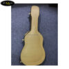 hop-dung-dan-guitar-acoustic-ballad-gb-case (1)