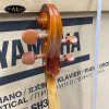 Đàn Cello Scott Guan 140 size 24 34 44