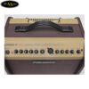 amplifier-fishman-loudbox-mini-60w-bluetooth (1)