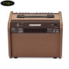 amplifier-fishman-loudbox-mini-60w-bluetooth (5)