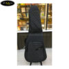 bao-dan-guitar-dang-hop-ginhuan-5-lop-tmbg-g5 (1)