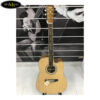 dan-guitar-acoustic-tq-fg-720 (1)