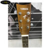 dan-guitar-acoustic-tq-fg-720 (2)