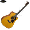 dan-guitar-acoustic-yamaha-a5m-vintage-natural (5)