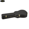 dan-guitar-acoustic-yamaha-ac5r