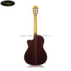 dan-guitar-classic-cordoba-orchesta (2)