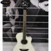 dan-guitar-yamaha-apx-600-1