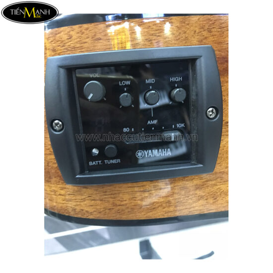 Đàn Guitar Acoustic Yamaha FGX800C - Ảnh 5