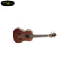 dan-ukulele-lanikai-tenor-lu-21t (3)