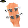 dan-ukulele-soprano-bws-21-inch-b01-21 (3)