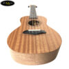 dan-ukulele-soprano-bws-21-inch-b01-21 (4)