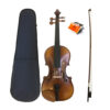 dan-violin-cremona-gcv-v140-new