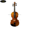dan-violin-scott-cao-stv-017e (1)