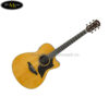 yamaha-acoustic-ac5r (3)