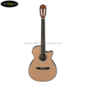 Đàn Guitar Acoustic Ibanez AEG8TNE-NT (EQ)