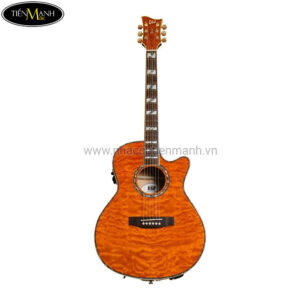 Đàn Guitar Acoustic LTD AC30EQ MHN