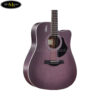 dan-guitar-acoustic-rosen-g13-a-41-yellow-blue-green-black-brown-violet (2)