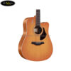 dan-guitar-acoustic-rosen-g13-a-41-yellow-blue-green-black-brown-violet (5)