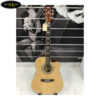 dan-guitar-acoustic-tq-f600eq (1)