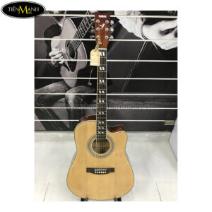 Đàn Guitar Acoustic TQ F6000 EQ