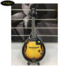 dan-mandolin-trung-quoc-ma005-eq (1)
