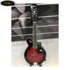 dan-mandolin-trung-quoc-w77-khong-co-eq (1)