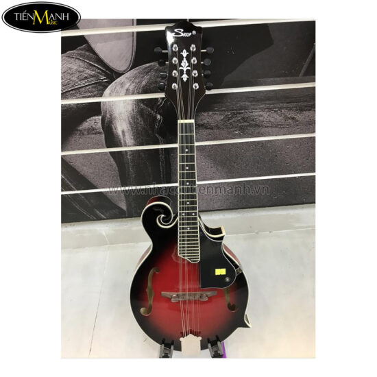 dan-mandolin-trung-quoc-w77-khong-co-eq (1)