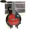 dan-mandolin-trung-quoc-w77-khong-co-eq (3)