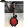 dan-mandolin-trung-quoc-w77-khong-co-eq (5)