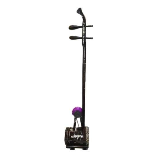 dan-nhi-2-vn-vi-keo-colofan