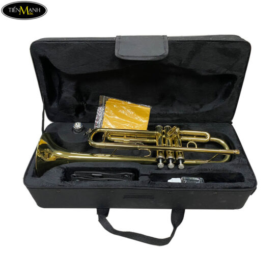 ken-trumpet-yamaha-tq-tr100-vang-3.