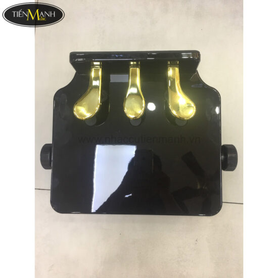 Pedal Đàn PianoNâng Chiều Cao PUNK PA23 , Pedal Mở Rộng Cho Bé - Ảnh 8