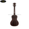 dan-ukulele-kala-concert-ka-eby-c (10)