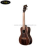 dan-ukulele-kala-concert-ka-eby-c (2)