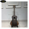 dan-ukulele-kala-concert-ka-eby-c (4)