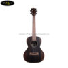 dan-ukulele-kala-eby-t-tenor (1)