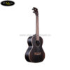 dan-ukulele-kala-eby-t-tenor (2)