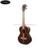 dan-ukulele-kala-ka-zct-t-tenor (2)