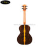 dan-ukulele-kala-ka-zct-t-tenor (4)