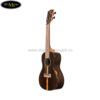 dan-ukulele-kala-zct-c (2)