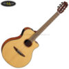 dan-guitar-classic-yamaha-ntx1 (3)