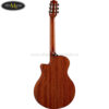 dan-guitar-classic-yamaha-ntx1 (5)